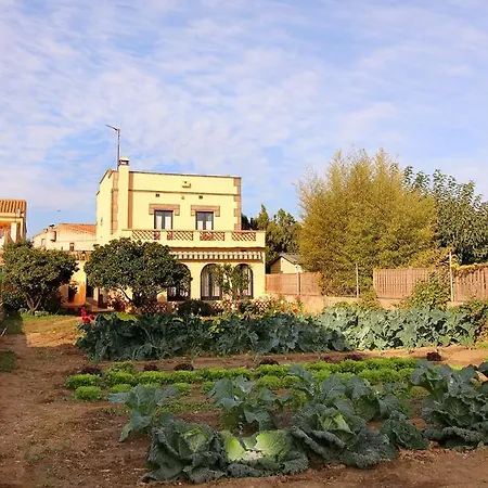 Casa Tapiolas Borrassá Buitenkant foto